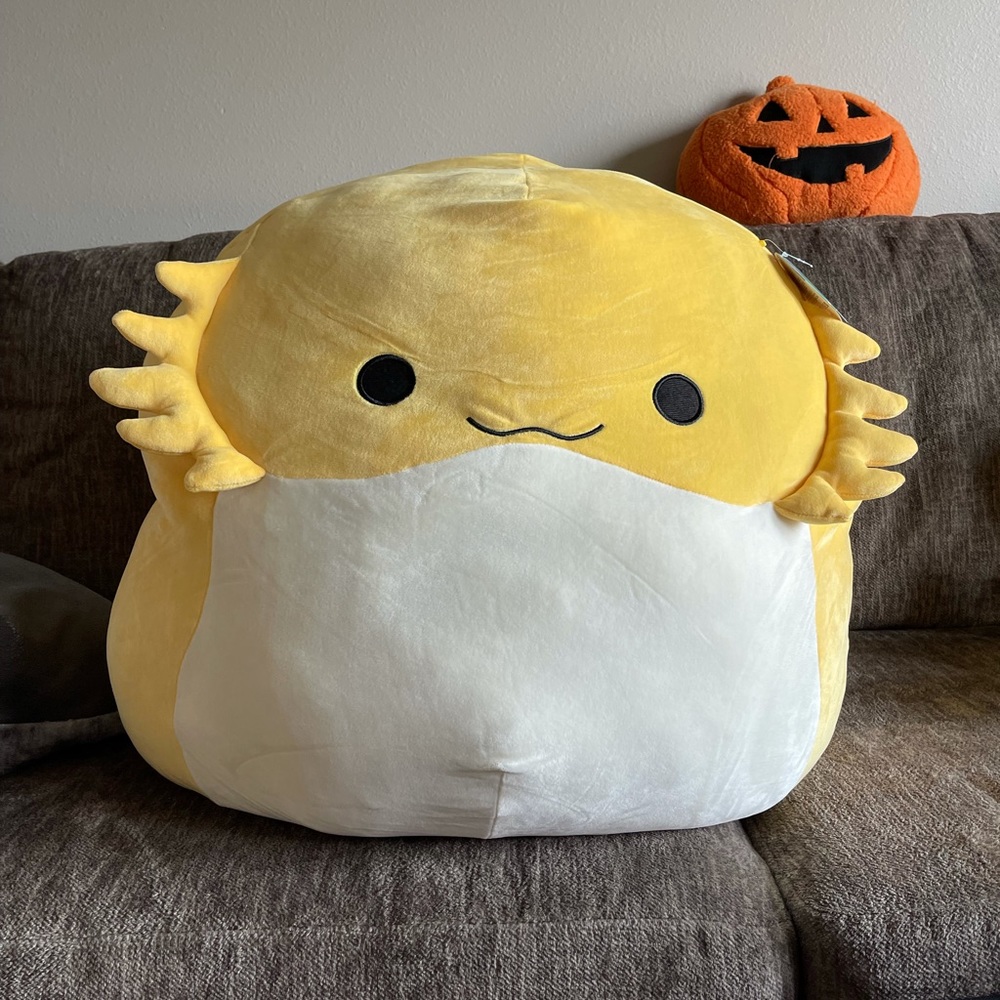 Rodry Squishmallow